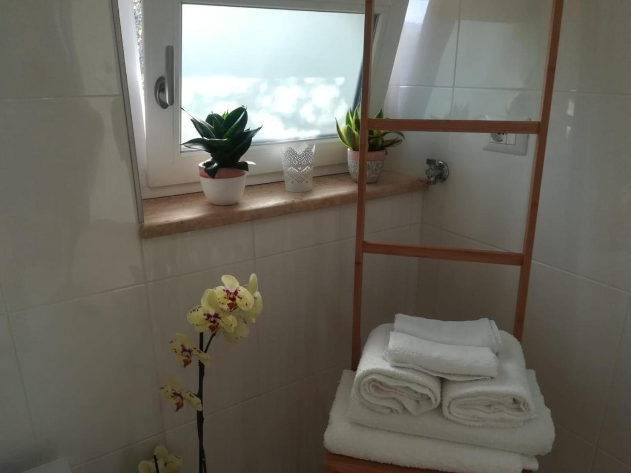 B&B Il Sogno Santa Maria di Castellabate Buitenkant foto