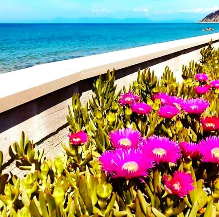 B&B Il Sogno Santa Maria di Castellabate Buitenkant foto